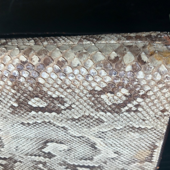Vintage Snake Skin Clutch Purse - Picture 10 of 16